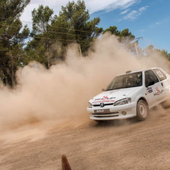 Peugeot 106 Rallye de Setup Pilotage